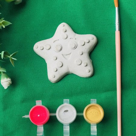 Starfish Colouring chip