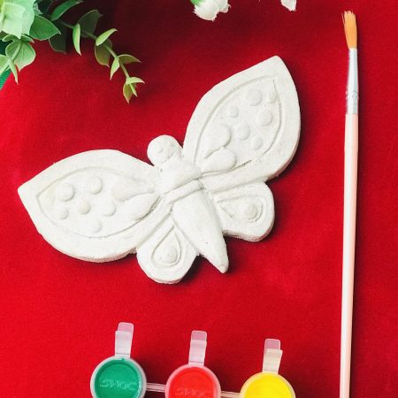 Butterfly Colouring chip