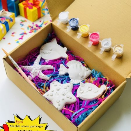 Marble Stone Creative Activity Kit Box (5pcs shapes) Colouring set-with Colours